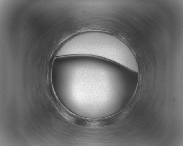 X0000080660301200612150742