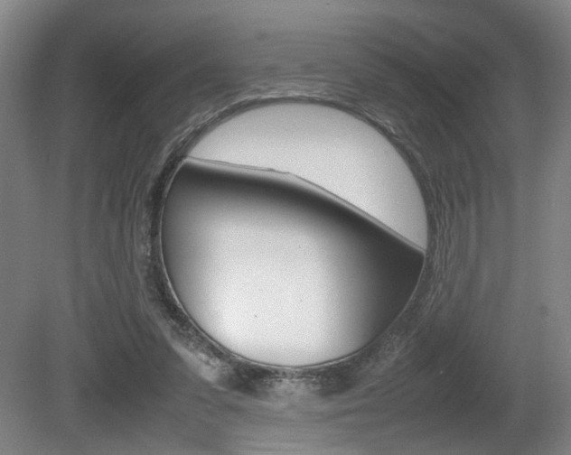 X0000080660303200612150742