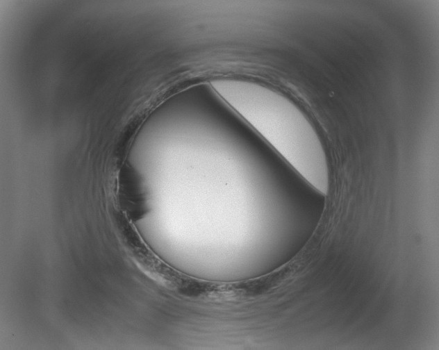 X0000080660307200612150742