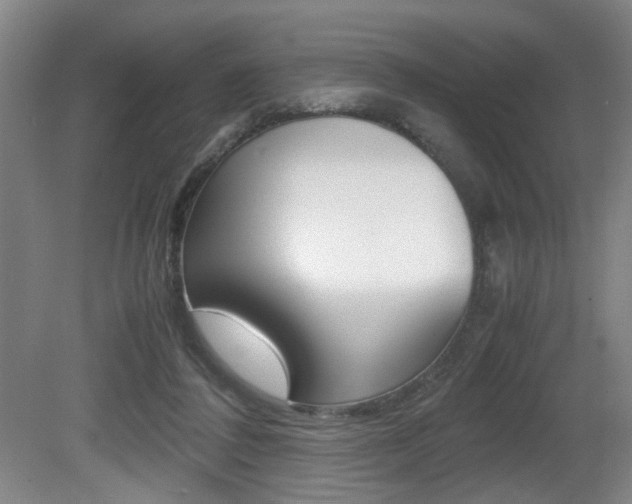 X0000080660308200612150742