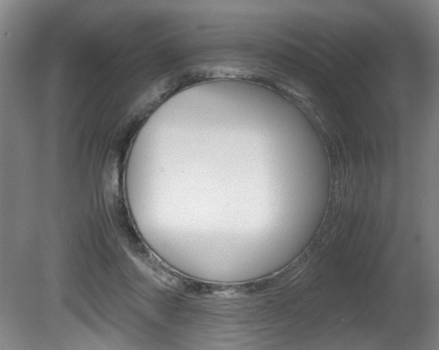 X0000080660310200612150742