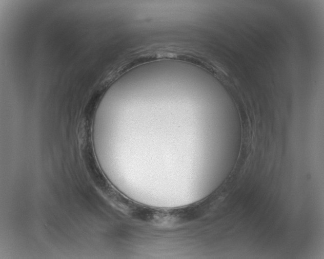 X0000080660311200612150742