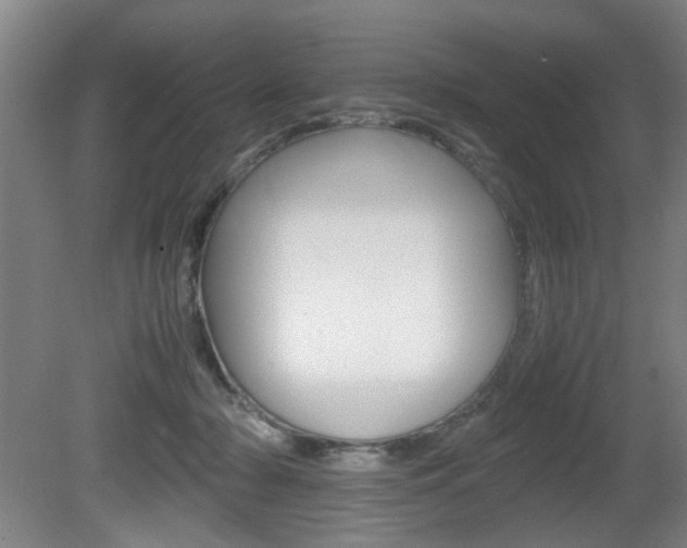X0000080660318200612150742