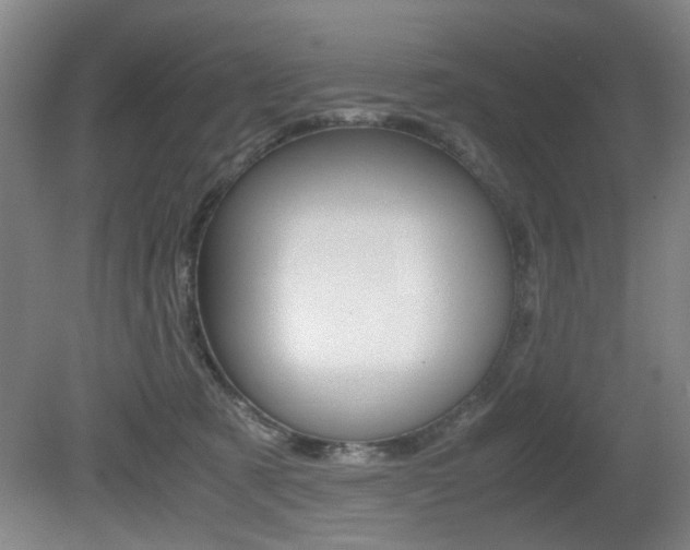 X0000080660321200612150742