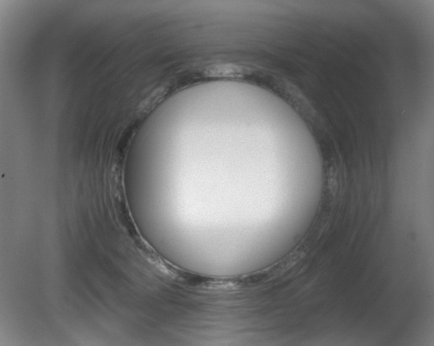 X0000080660322200612150742