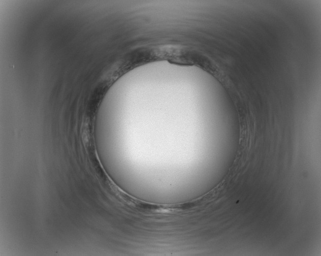 X0000080660323200612150742