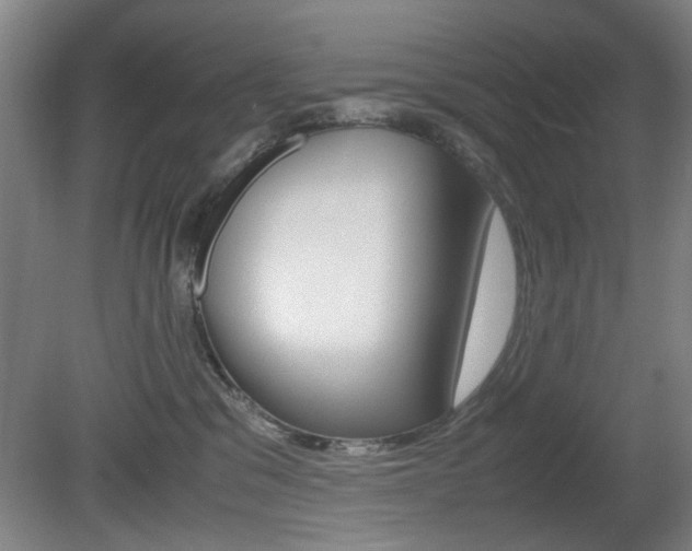 X0000080660329200612150742