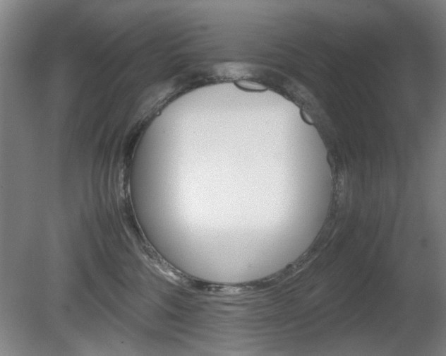 X0000080660330200612150742
