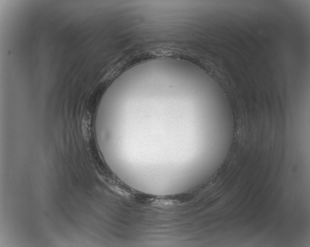 X0000080660332200612150742