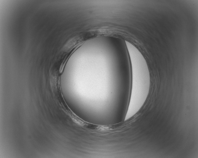 X0000080660333200612150742