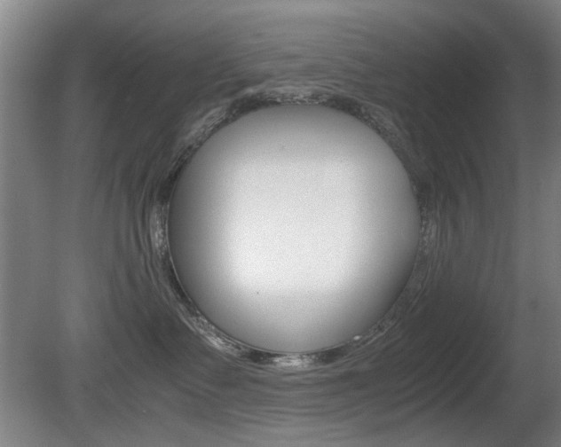 X0000080660335200612150742