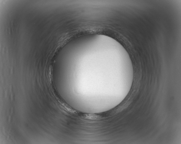 X0000080660336200612150742