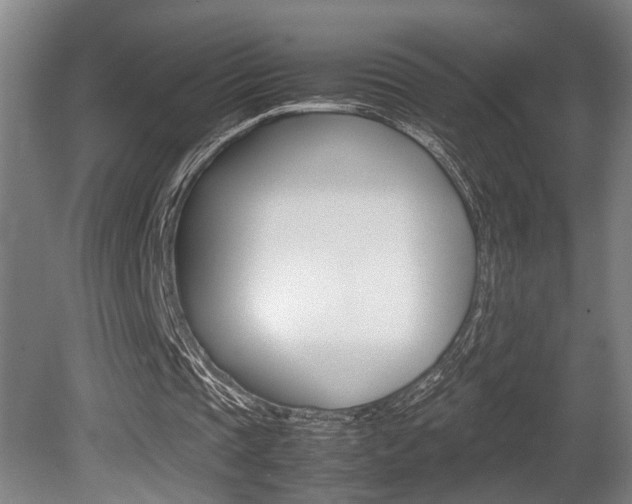 X0000080660337200612150741