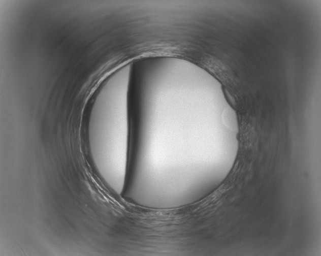 X0000080660338200612150741