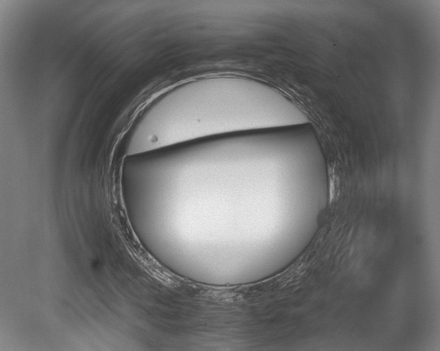 X0000080660339200612150741