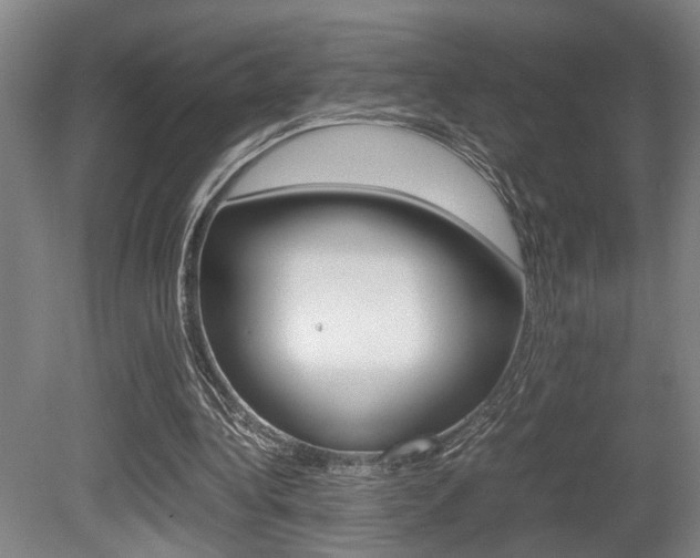 X0000080660340200612150741