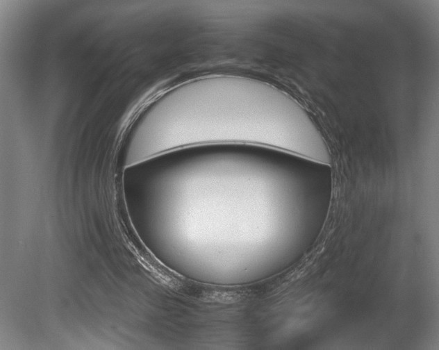 X0000080660341200612150741