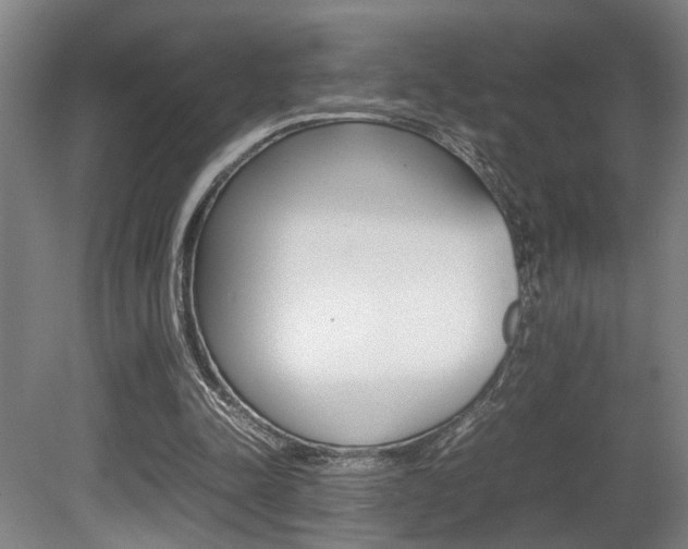 X0000080660342200612150741