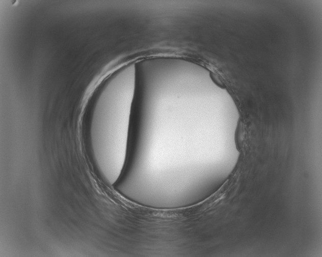 X0000080660343200612150741