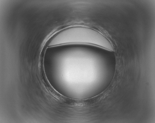 X0000080660344200612150741