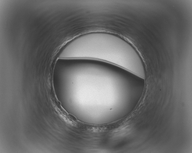 X0000080660345200612150741