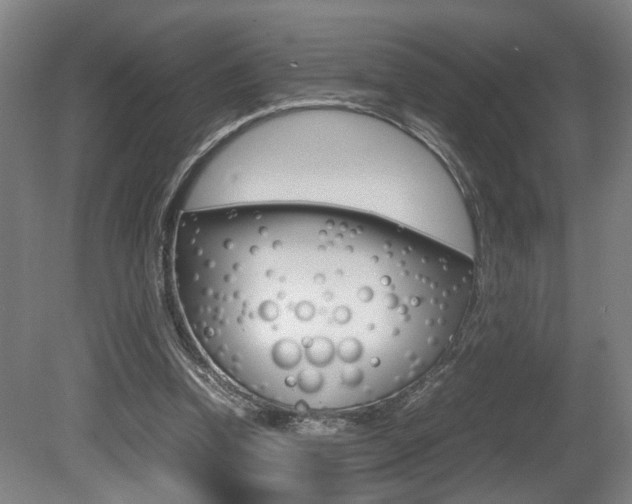X0000080660346200612150741