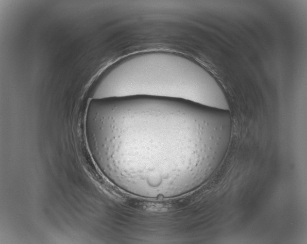 X0000080660347200612150741