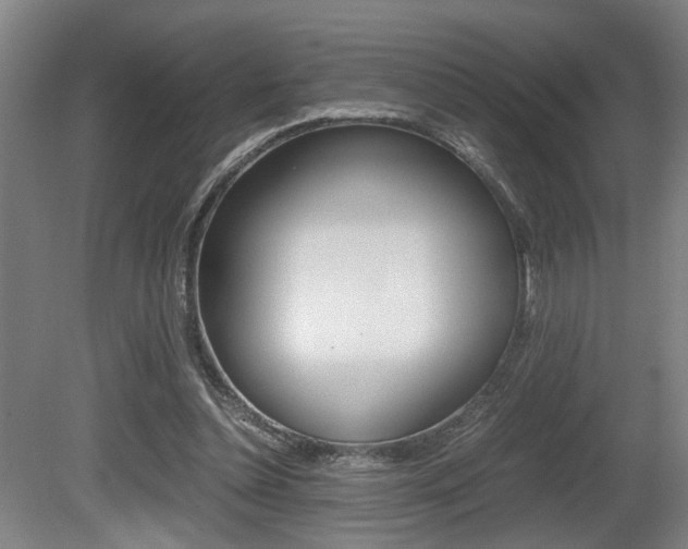 X0000080660348200612150741