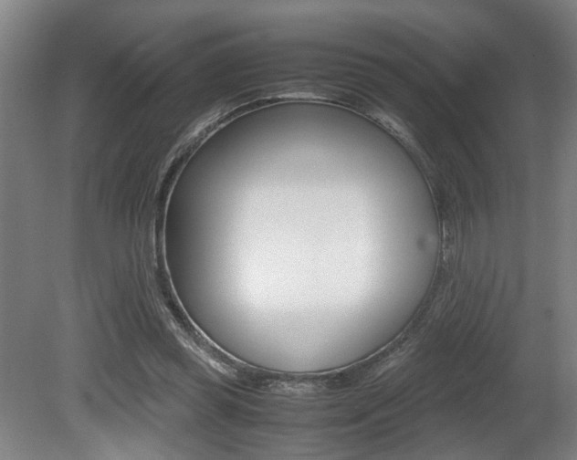 X0000080660349200612150741