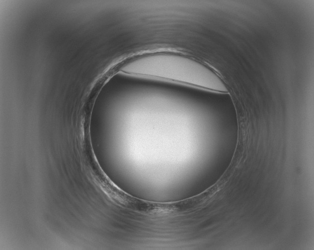 X0000080660350200612150741
