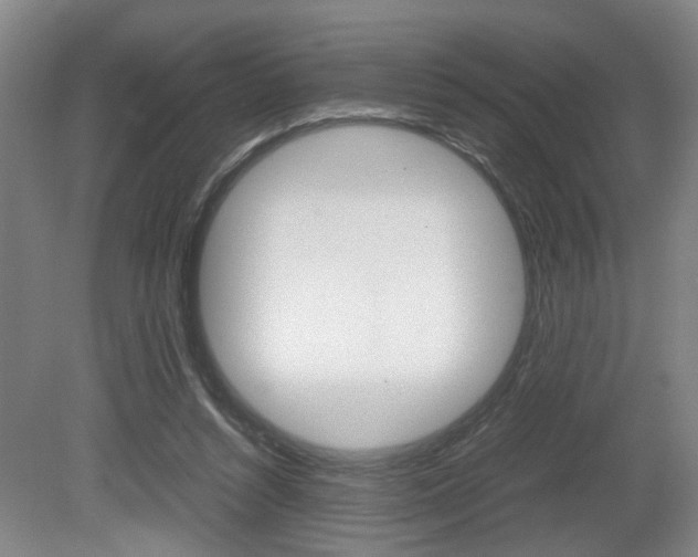 X0000080660352200612150741