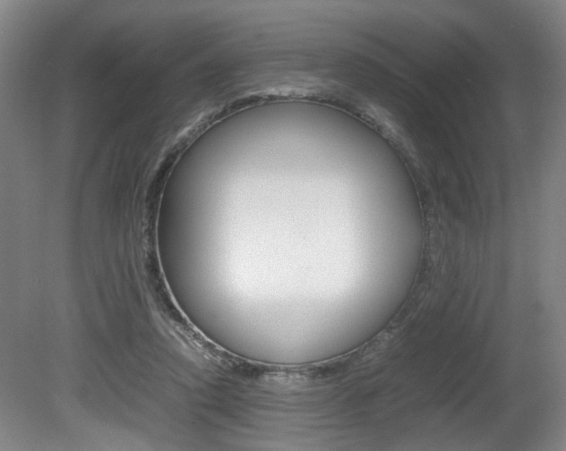 X0000080660354200612150741