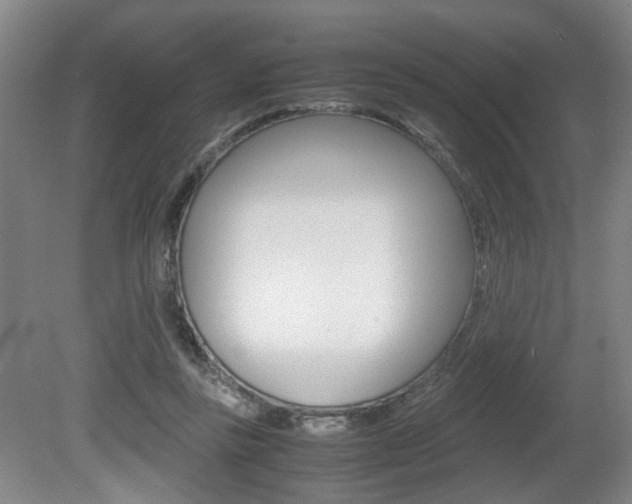 X0000080660355200612150741