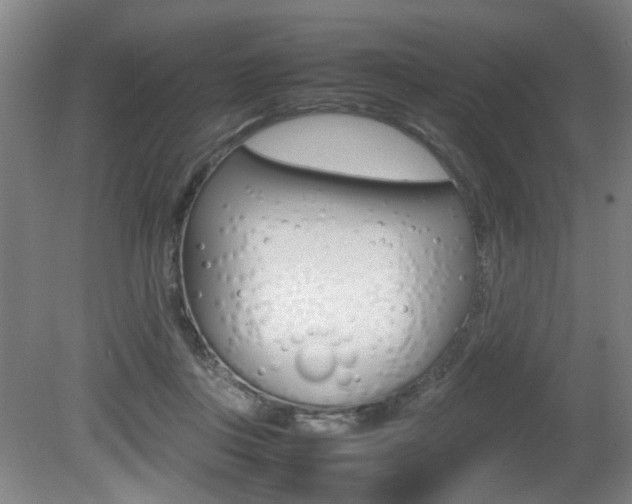 X0000080660359200612150741