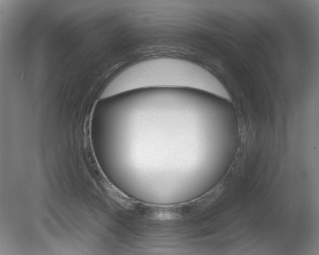 X0000080660360200612150741