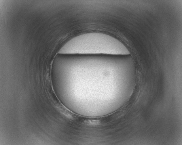 X0000080660361200612150741