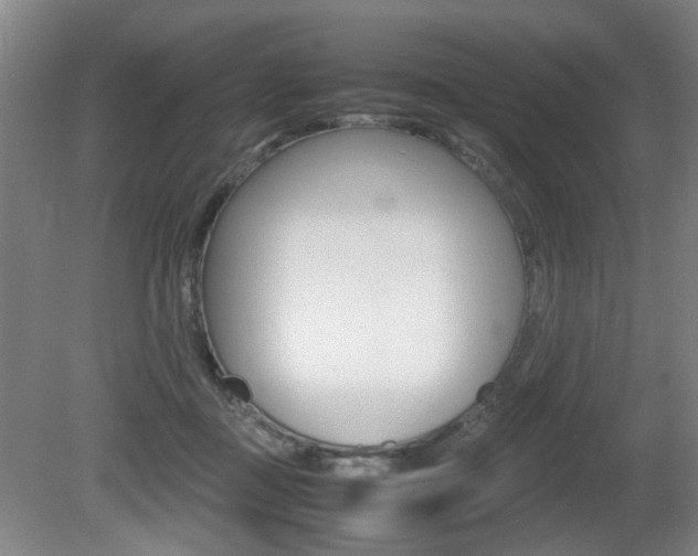 X0000080660363200612150741