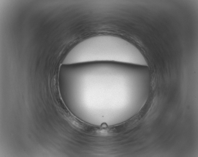 X0000080660365200612150741
