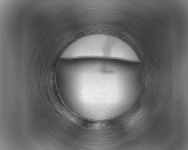 X0000080660366200612150741