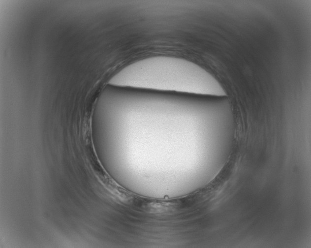 X0000080660367200612150741