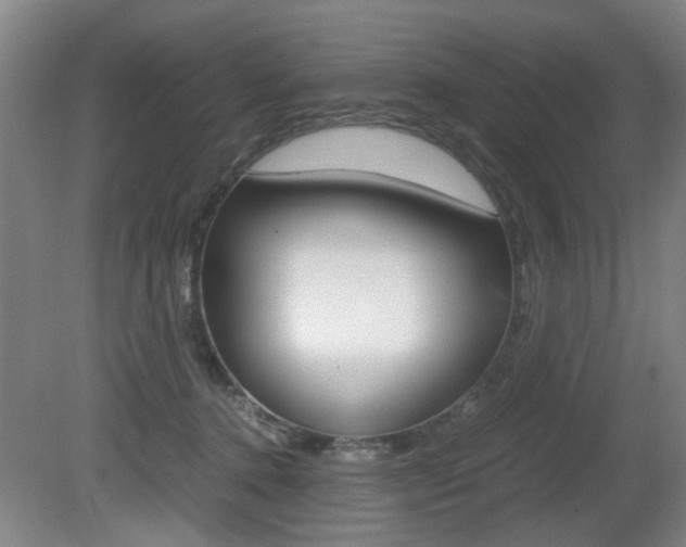 X0000080660368200612150741