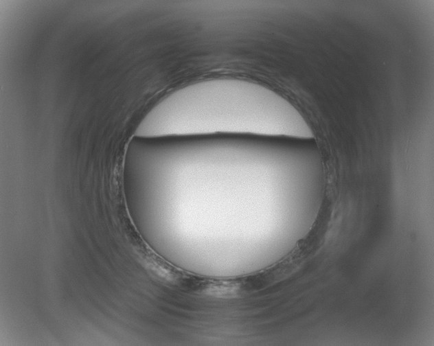 X0000080660369200612150741