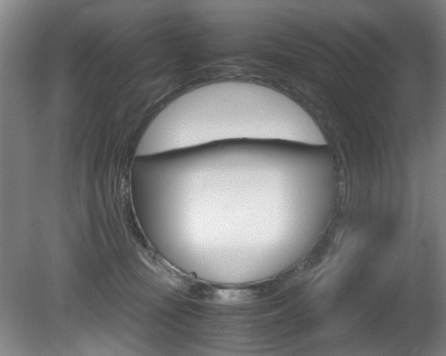 X0000080660371200612150742