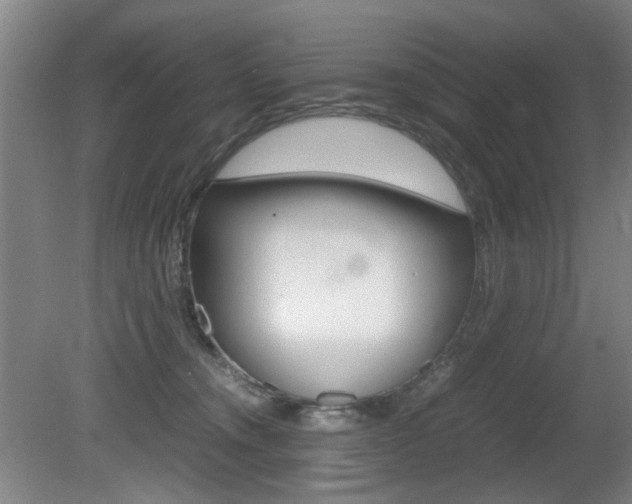X0000080660372200612150742