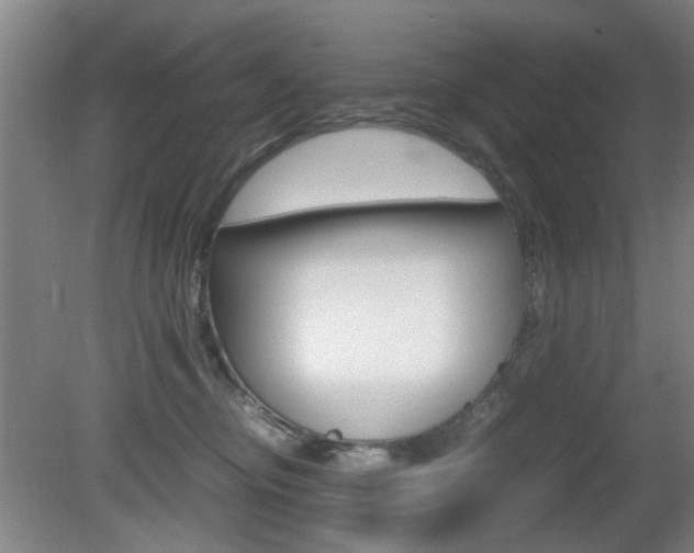 X0000080660374200612150742