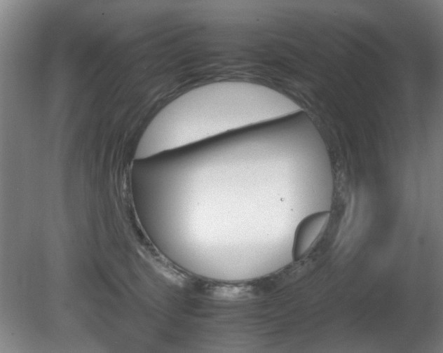 X0000080660375200612150742