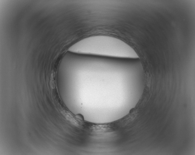 X0000080660378200612150742