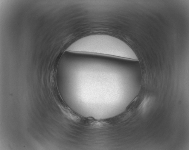 X0000080660379200612150742