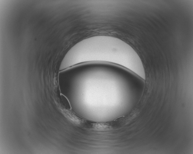 X0000080660380200612150742