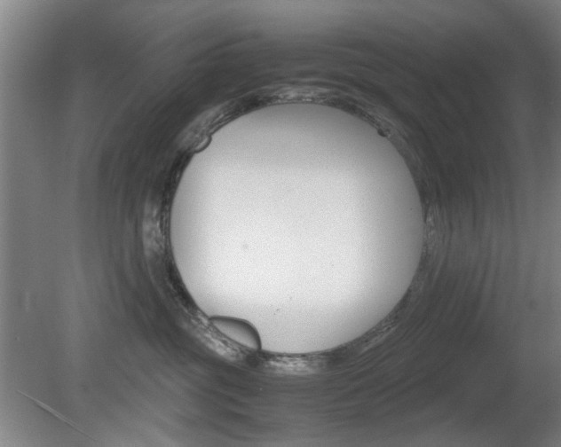 X0000080660381200612150742